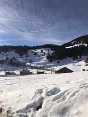 IMG 0077